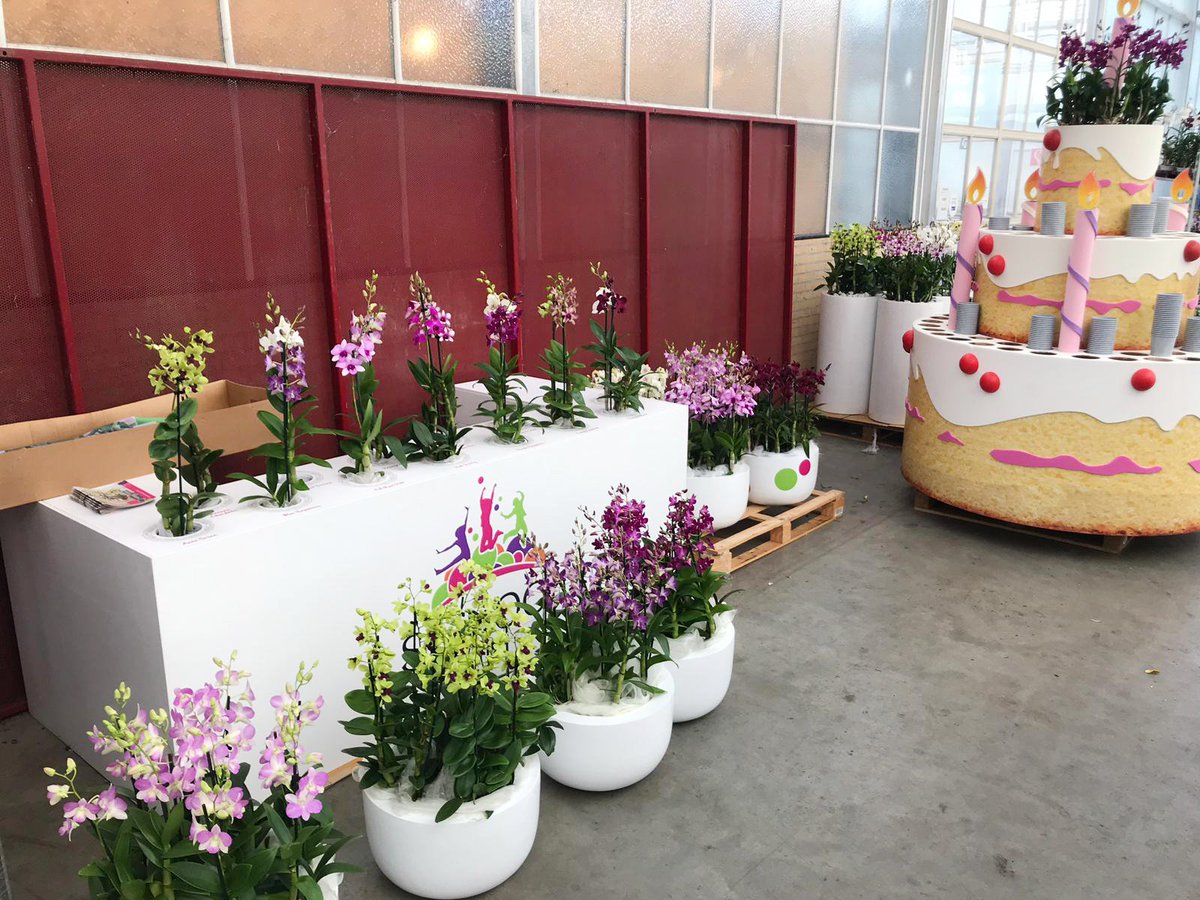 Wij zijn er bijna klaar voor... Kom je ook een kijkje nemen bij Kom in de Kas, Kwekerij Fransen Orchideeën? Gezellig! Tot dan.