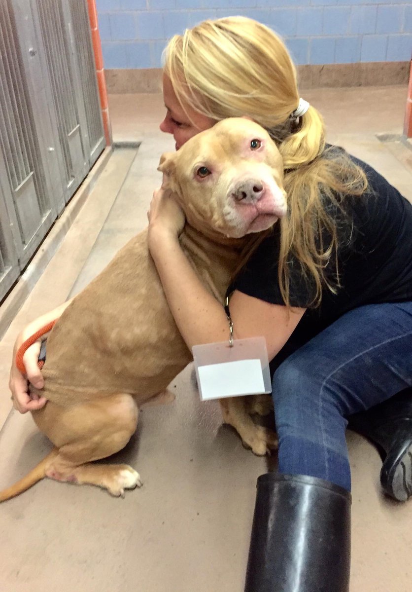 livelikeroo's tweet photo. 4 years ago today, I met Roo. 

❤️$500,000+ in assistance to animals with cancer. 

🐶2800 cancer care packages mailed. 

👨‍👩‍👧‍👧 Over 6,000 families helped. 

We only exist because of you. 

Celebrate 4 years of living like there is no tomorrow. #LiveLikeRoo
https://t.co/VMTaqn2eJx https://t.co/Ce9rlPPDlW