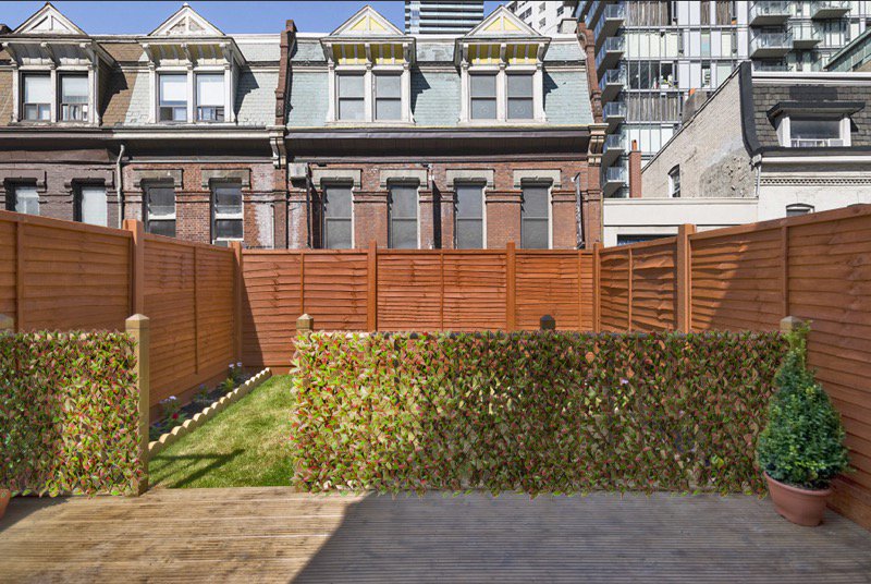 New Photina leaf trellis