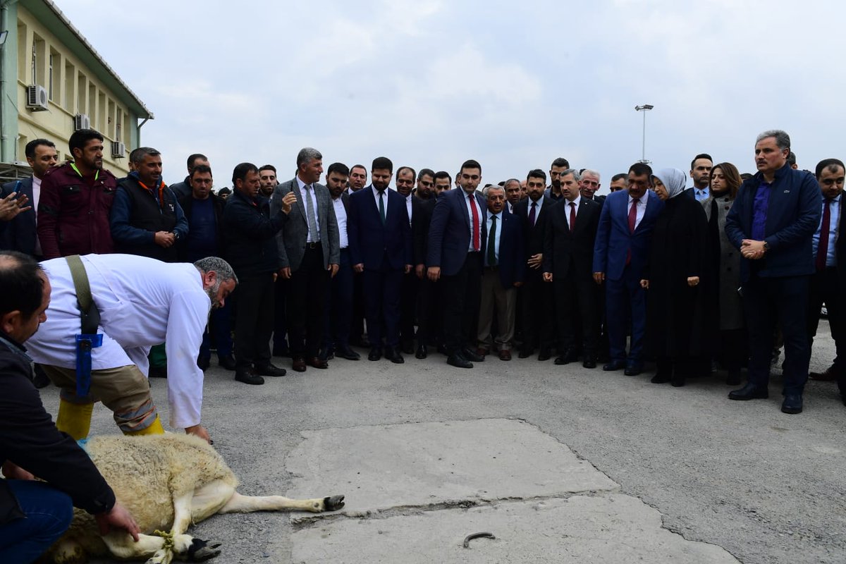 mehmetcinar44's tweet photo. Allah'a hamdolsun🙏
Belediye'de beni büyük bir sevinçle ve çoşkuyla karşılayan tüm mesai arkadaşlarım,

Bana yaşattığınız bu tarifsiz anı hiçbir zaman unutmayacağım. Hepinizi çok seviyorum. Her zaman #GönülGönüleyizBiz ve birlikte çok güçlü bir aileyiz.
Biz birlikte Yeşilyurt'uz! https://t.co/Zxjj9OFGSn