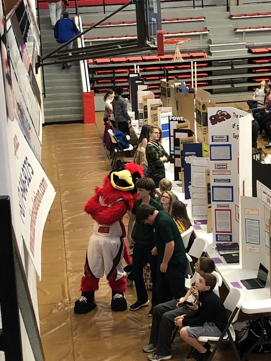 Knights_PAGES's tweet photo. PAGES students are ready for the MAC Science Fair! Good Luck! @FmsKnights1  @KnightsR7 @Knights_Lincoln https://t.co/1bHhLdMCXd