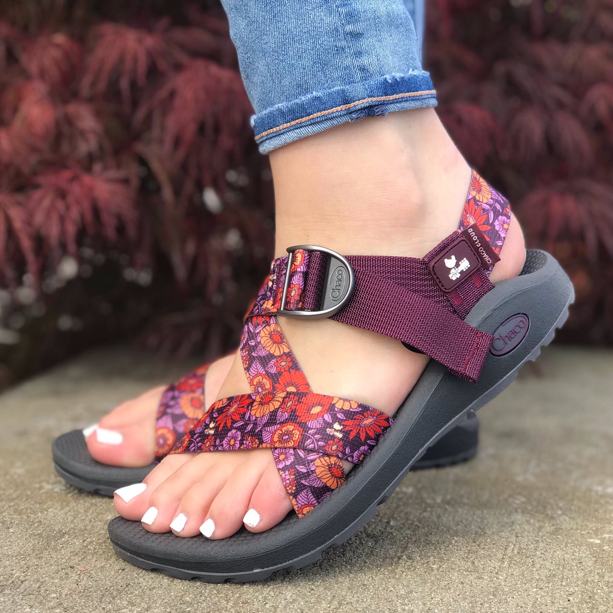 blossom wine chacos