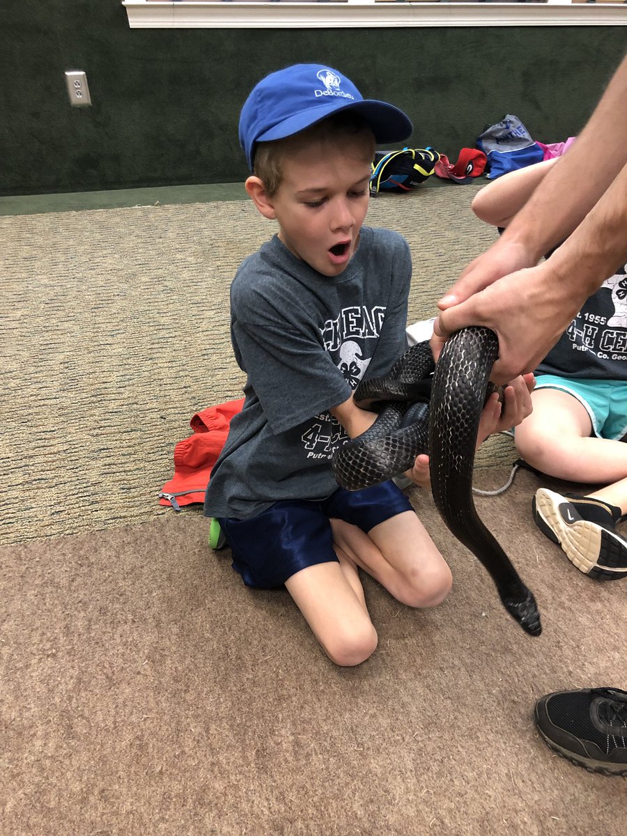 EDSAugustaTrips's tweet photo. Herpetology class this morning at Rock Eagle! Gators and turtles and snakes, oh my! #4EDS https://t.co/sl1bD1kT3D
