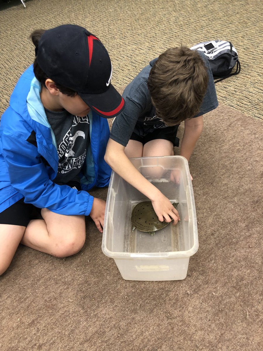 EDSAugustaTrips's tweet photo. Herpetology class this morning at Rock Eagle! Gators and turtles and snakes, oh my! #4EDS https://t.co/sl1bD1kT3D