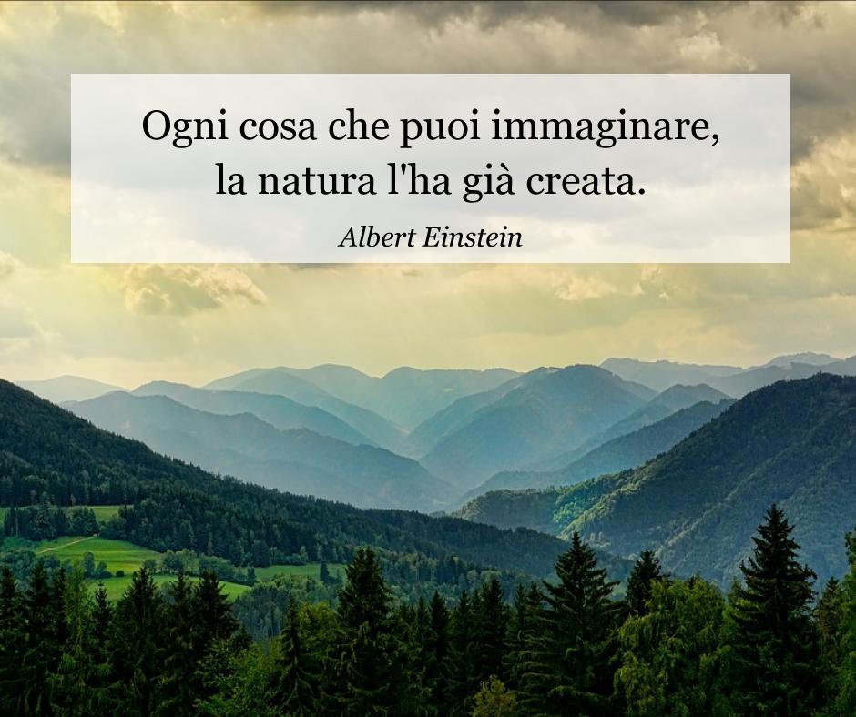 EnerSetting's tweet photo. Buon #weekend! 💚 🌳
#citazioni #AlbertEinstein #natura #nature #green #Enersetting https://t.co/UFJ73UilLh