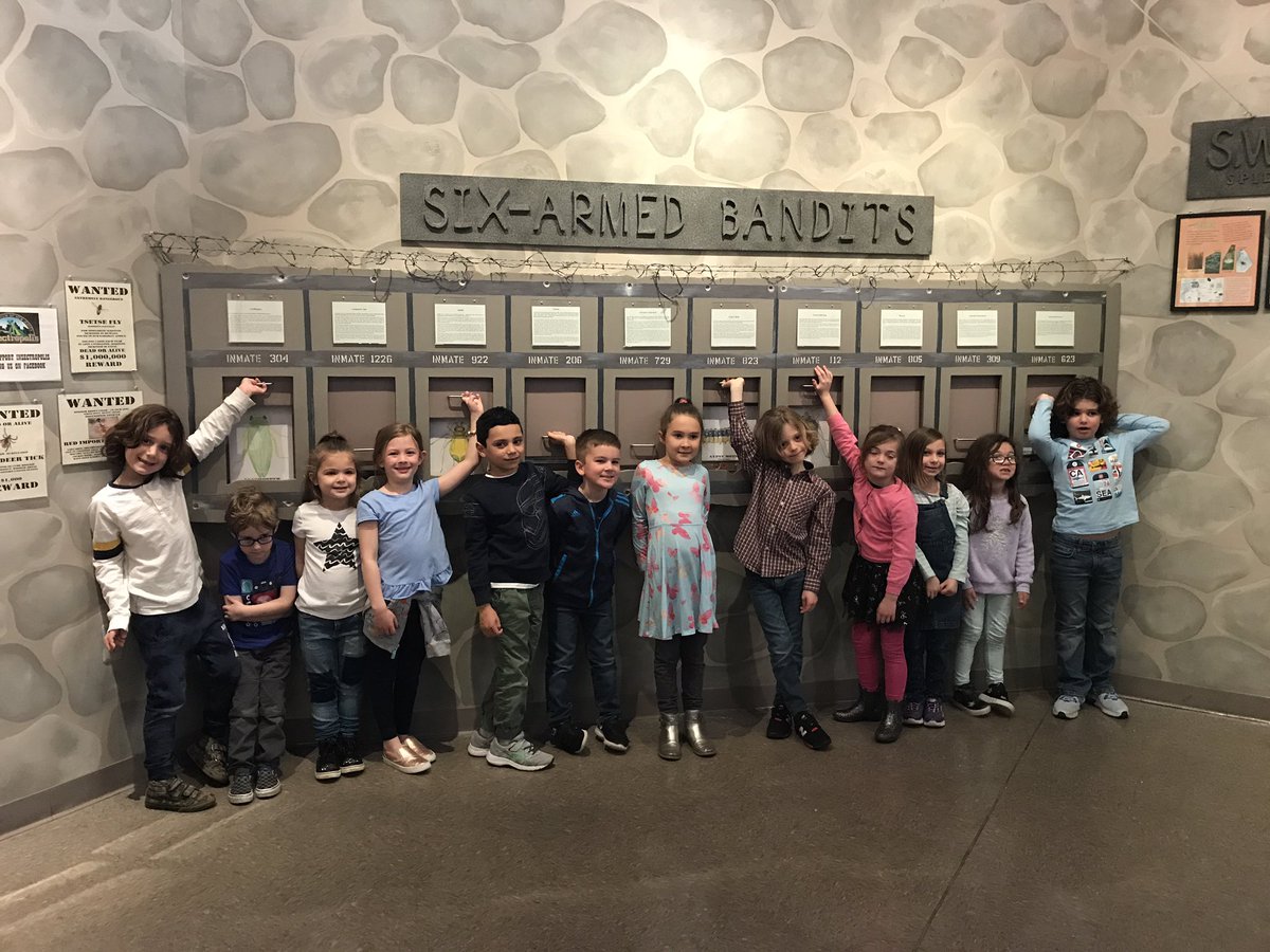 NDePalma3's tweet photo. Creepin’ & Crawlin’ through Insectropolis learning so many new bug facts! #handson #bugmuseum #mbs @MBS_MarinoK2 @MBS_Ettore https://t.co/cMybIRaCR6