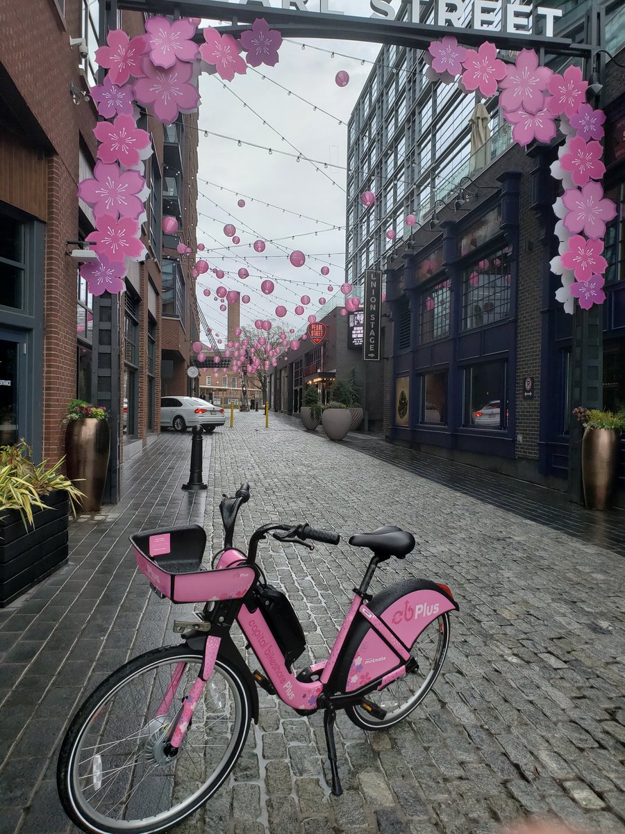 amandam440's tweet photo. Dreams do come true! 🌸💕🌸 #BikeInBloom totally made my cheery blossom filled weekend @bikeshare #bikeinbloomnumber1fan https://t.co/4H61X1yB0W