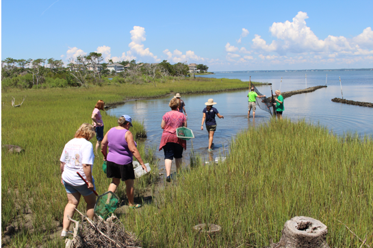 apestuary's tweet image. Attn NC teachers! Apply by 4/30 to explore coastal ecosystems through hands-on #NCstem activities at the @UNC_IE's teacher institute this summer! APNEP is excited to fund this free professional development experience for 8th-12th grade educators: bit.ly/WatersEdgeInst… #nced