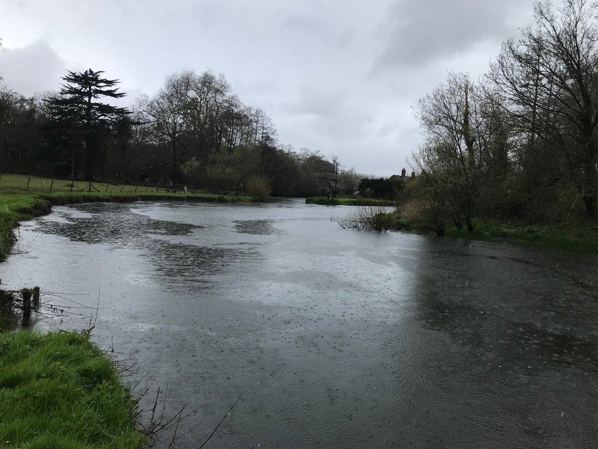RifflePool's tweet image. A very wet and dark April day on the Test below Testwood Pool with a high tide but, no salmon cooperating.