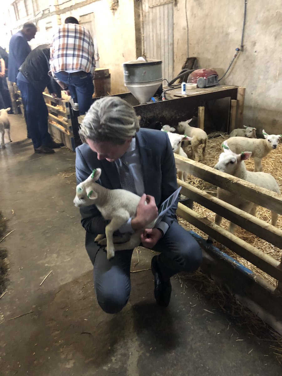 Agrisafari in #Spijkenisse! Wist u dat de agrarische ondernemers op Voorne-Putten (dus ook #Nissewaard) samen voor ruim 6% bijdragen aan de totale economie van de Metropoolregio Rotterdam Den Haag. Indrukwekkende cijfers en fantastisch werk!