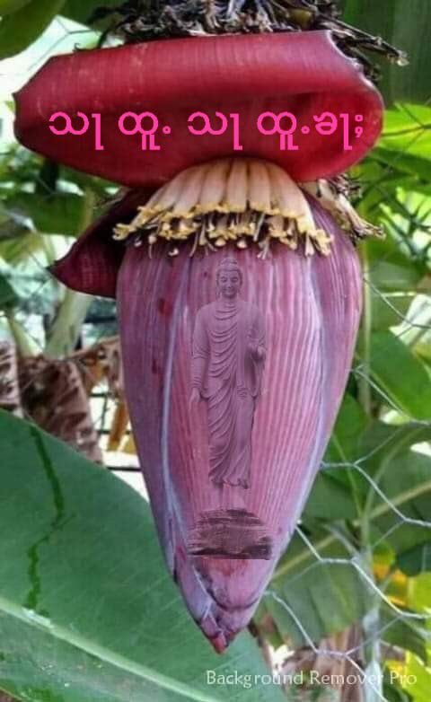 HMonland tweet picture