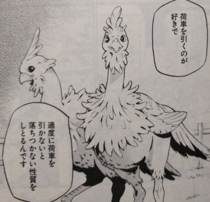 エルフを狩るモノたち エルフを狩るモノたち