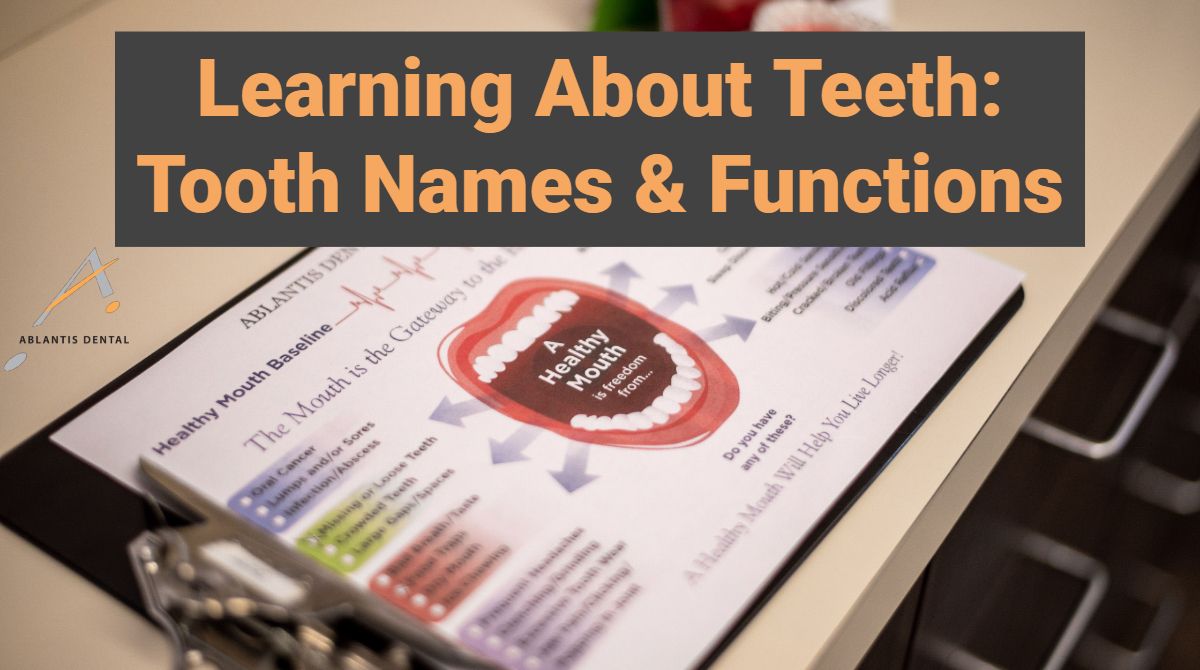 Ablantiscorp's tweet photo. Check Out Our Blog On Tooth Names & Functions!
Read More... https://t.co/KfPYhCXhiO
•
•
•
•
•
#oralhealth #tooth #teeth #dentalcare #ablantis #localdentist #encinitasdentist #dentaltip #hygiene #dentistry #dentist #dental #dentalhygienist #dentalhealth #dentalhygiene https://t.co/SHhjmtdmNZ