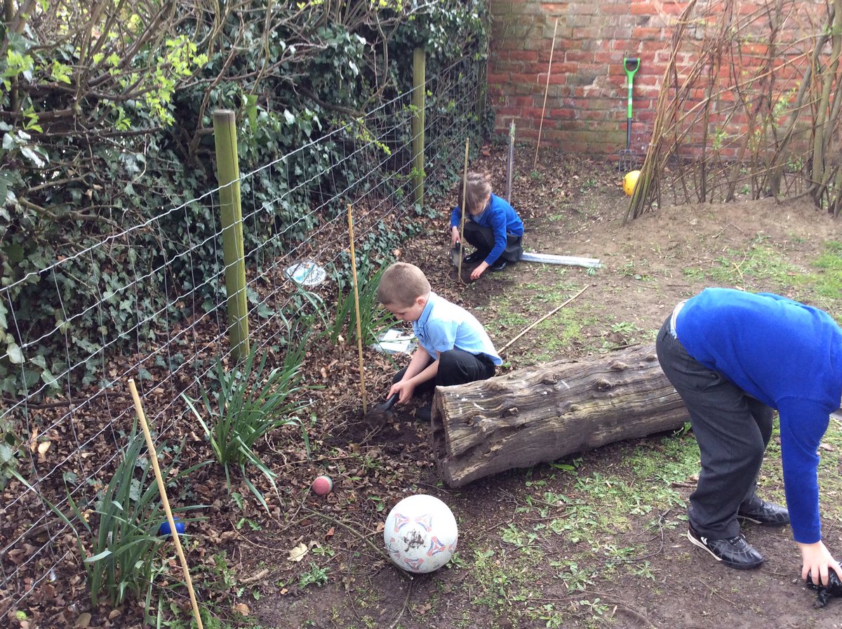 StillingtonPri1's tweet photo. This week we have begun planting our trees in the school grounds as part of the preservation of #TheGreatNorthernForest. The children really enjoyed it and #EYFS were keen to see if they had grown overnight! We talked about how it might take some time! https://t.co/ZjIL4qNEIN