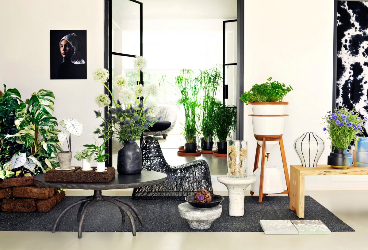 These are the essential style trends set to take over the botanical world in 2019: thejoyofplants.co.uk/these-are-esse…