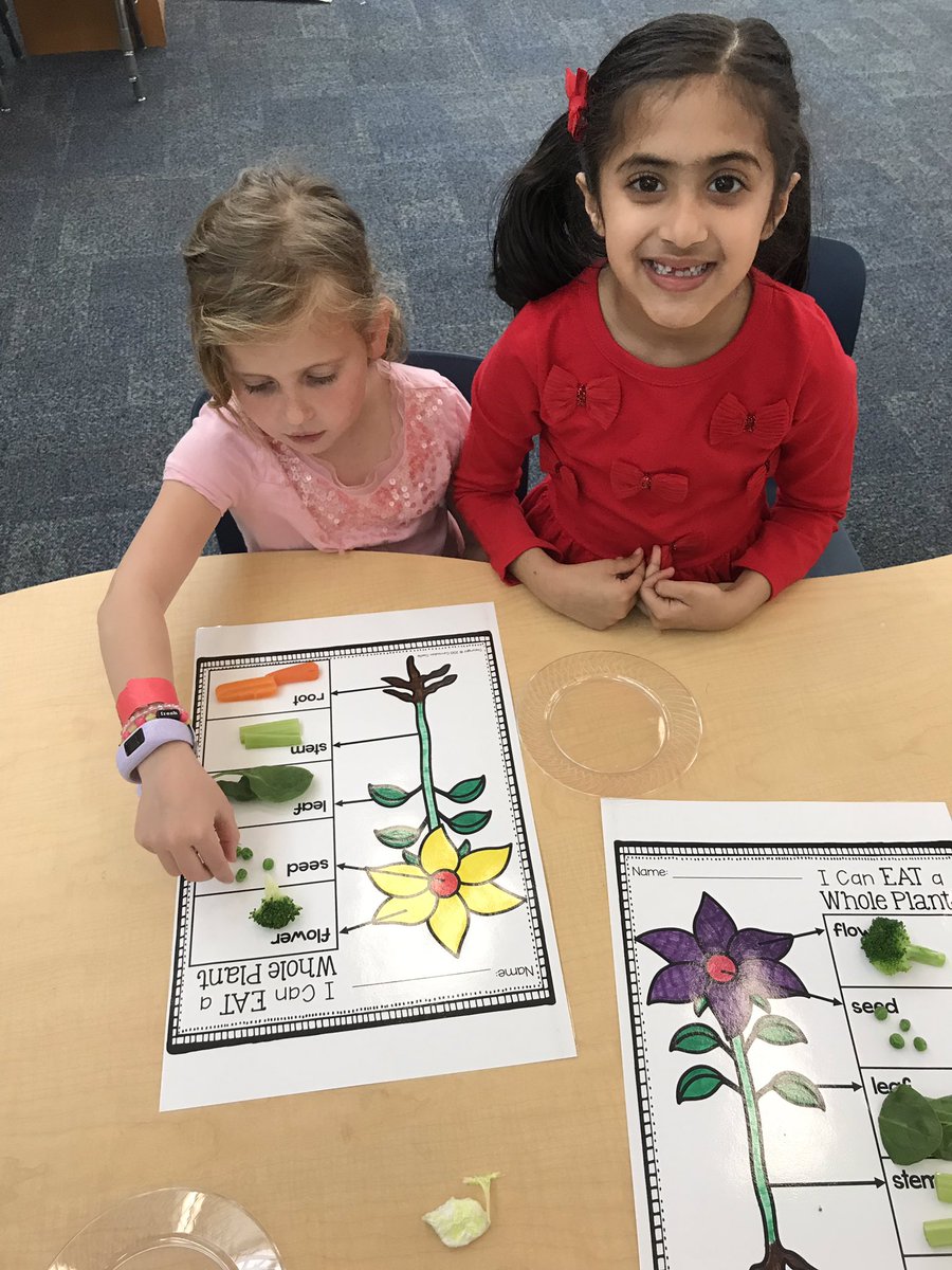 The book “Tops and Bottoms” was the literature connection with our STEM lesson on eating a whole plant for the 1st and K students. Who knew broccoli 🥦 is a flower? <a href="/HRTJaguars/">Heartland Elementary</a> <a href="/bvlibraries/">BV LibraryMedia</a>