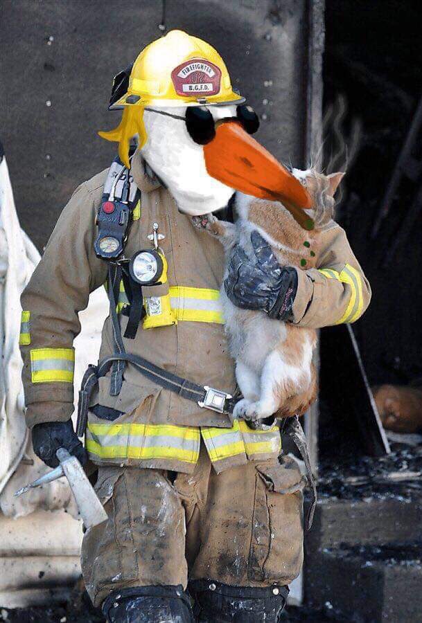 THEREALGO0SE's tweet photo. The Goose is your local firefighter, doing their best to keep the community safe. Three cheers! https://t.co/y5fSAsNLSY