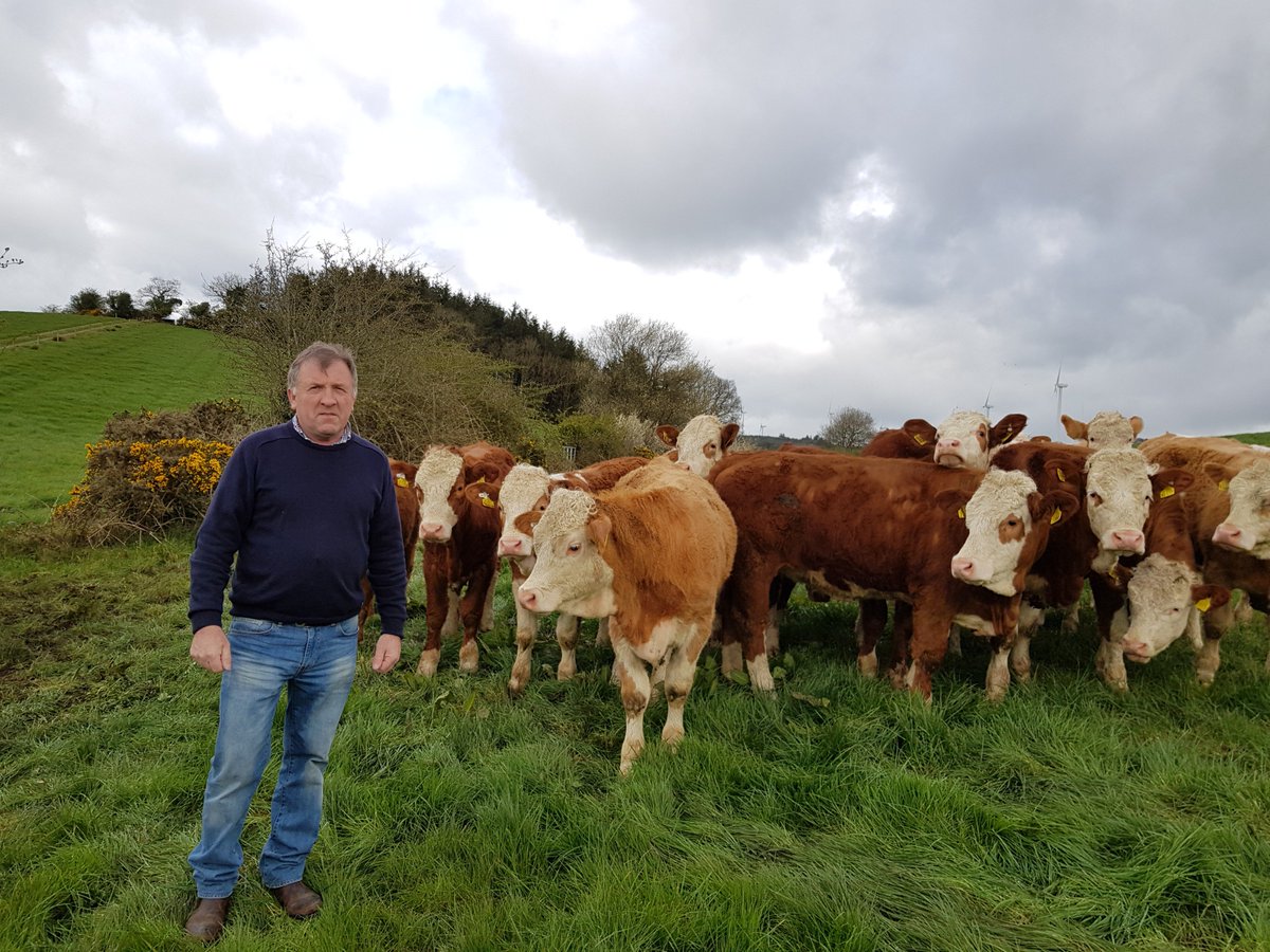 drumloman86's tweet image. For Irish beef farmers like Joe Brady from Laragh, Co Cavan, #Brexit is a serious business. "If there are WTO tariffs on our meat which goes into England, around 50% of the total, that would be the end of the beef industry in this country." @IFAmedia @IrelandsFarmers