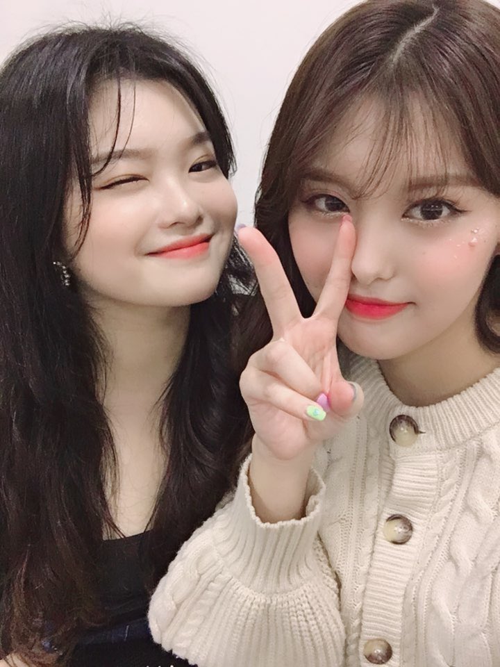 Momoland Ahin Sister - FlorenceHarris