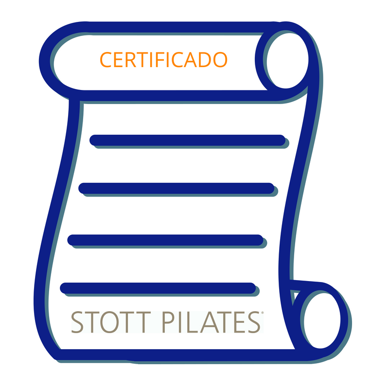 Akrostudio's tweet photo. La Escuela #StottPilates está presente en más de 100 países, en los que podrás trabajar sin problemas con la certificación oficial https://t.co/xTmlXnOZup
#merrithew https://t.co/mwFXFacdvs