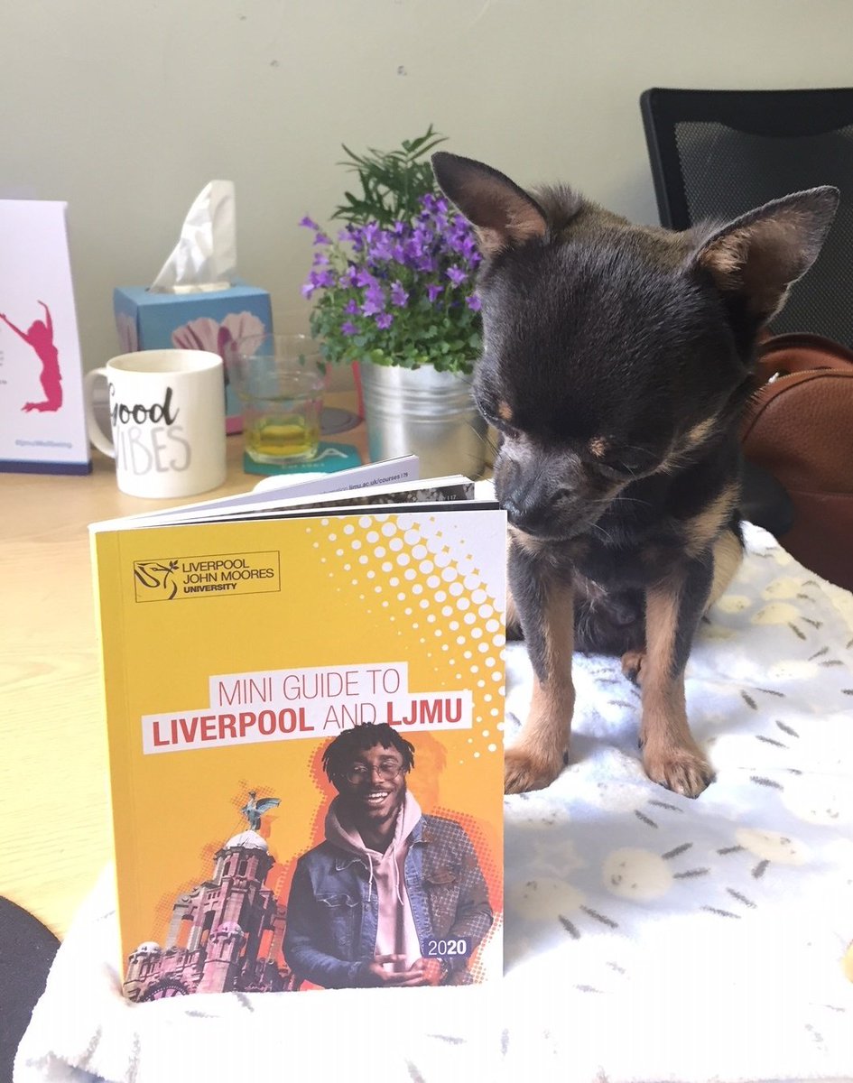 LJMU_Health's tweet photo. So staying with the theme of dogs in schools... we had a very special little visitor to our #IMMarsh Campus last week, who was super interested in our new @LJMU Mini Guide! ๐คฉ๐ถ๐ Have you had chance to check it out yet? If you're thinking about studying with us, it's a must! https://t.co/bmRxLewFb4