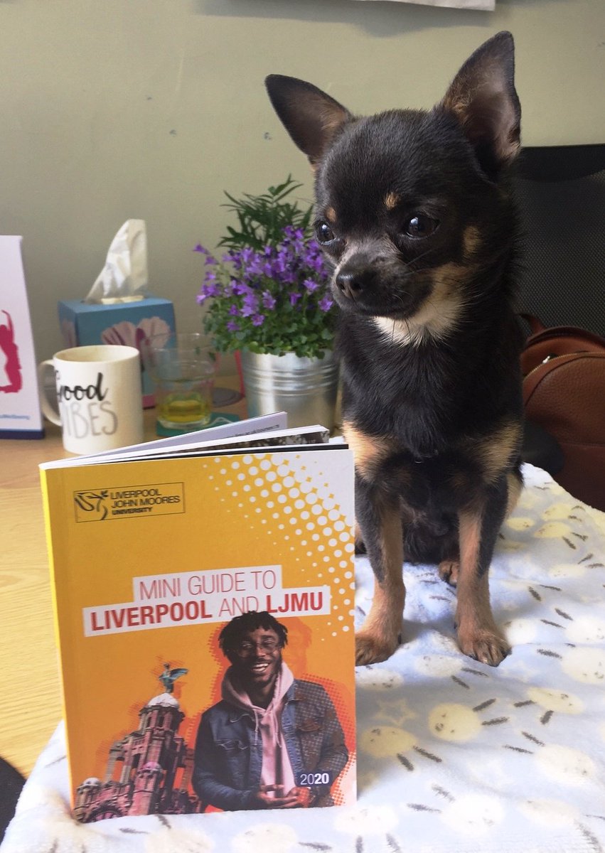 LJMU_Health's tweet photo. So staying with the theme of dogs in schools... we had a very special little visitor to our #IMMarsh Campus last week, who was super interested in our new @LJMU Mini Guide! ๐คฉ๐ถ๐ Have you had chance to check it out yet? If you're thinking about studying with us, it's a must! https://t.co/bmRxLewFb4