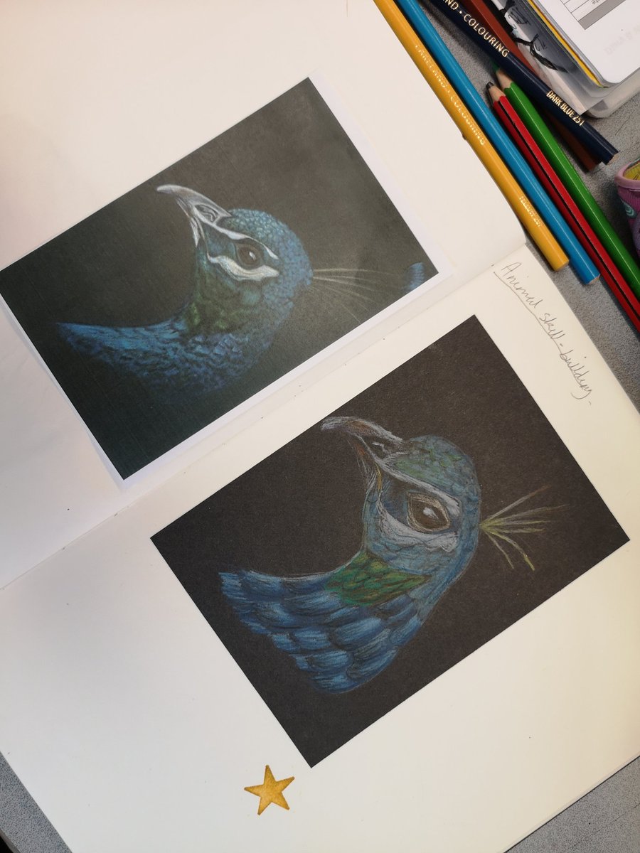 Fabulous work from Yr 7 and 8 students. What s super way to end the term. Have a great Easter everyone. 🙂