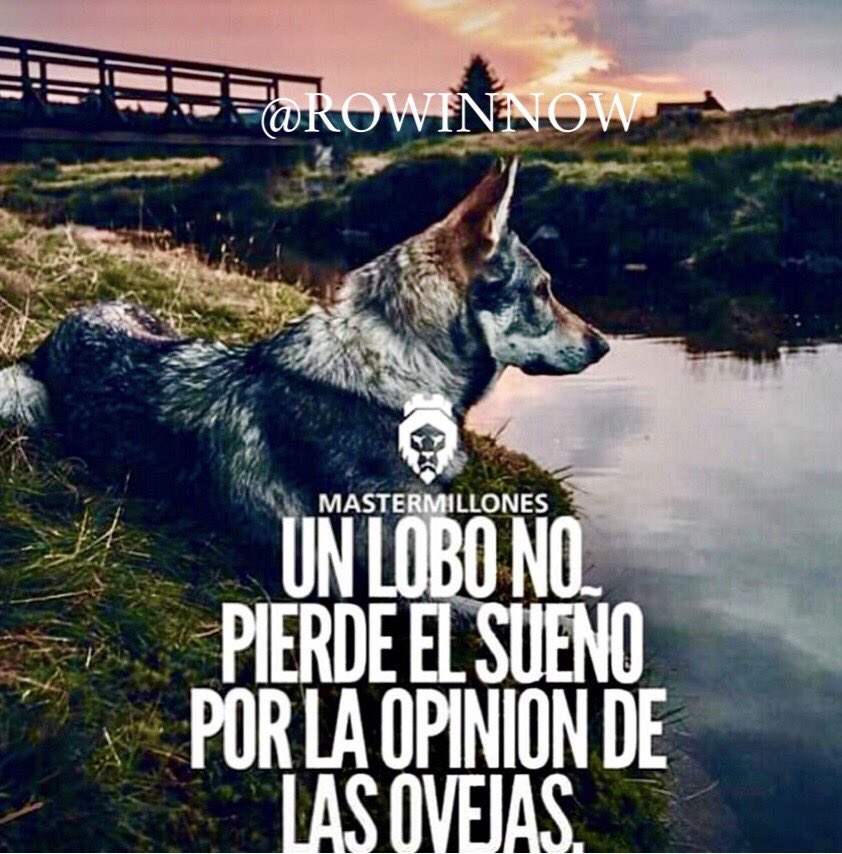rowinnow's tweet image. Feliz viernes gente de ROWIN NOW, que no te importe lo que los demás hablen a tus espaldas, cállalos con triunfos y hechos, eso les duele, ver a la persona que juzgan mejor que ellos.
#new #business  #newbusiness #wolf  #love #motivacion #rowinnow #live #viernes #april #Abril