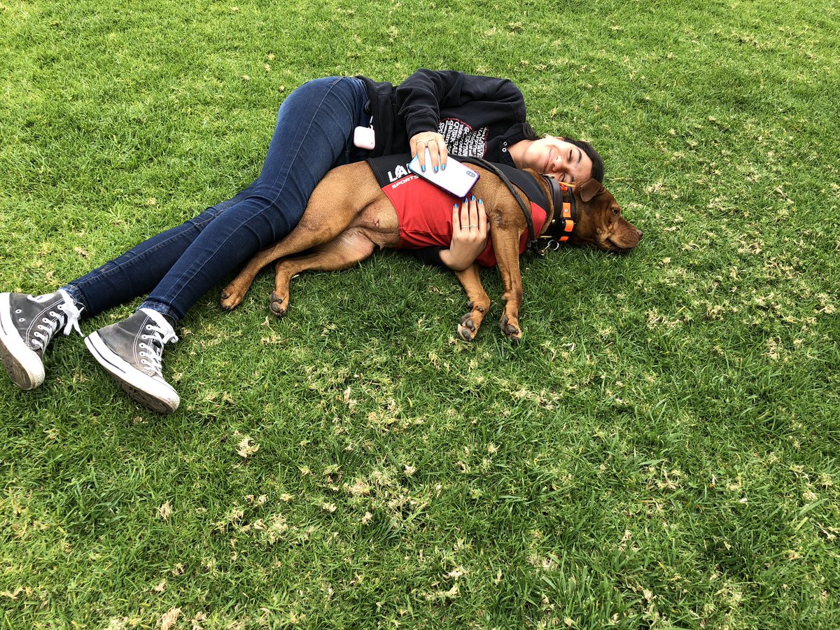 What @LARPBO weekends look like in between classes, urban field trips, pack walks, and events. Join in on all the fun meetup.com/LARPBOCOMMUNIT….
Remember to follow us!
.
.
#pitbulladvocates #larpbodogtraining #larpbodog #larpbocommunity #speaklarpbo_belarpbo