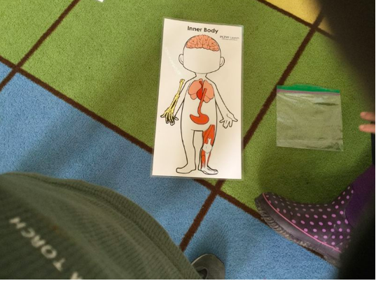 Richar_Samantha's tweet photo. So much learning happening in Y5-2nd Grade @PLTWorg at @A2angell this week! We are #A2Engaged ! #PLTW #Engineering #STEM #Science
https://t.co/X1JeC1s0ZG https://t.co/skuNhUqmXY