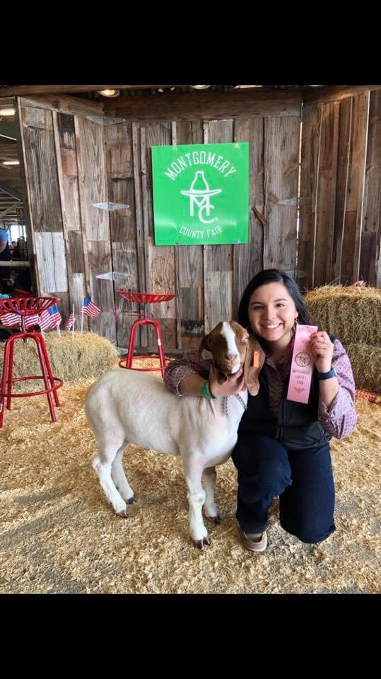 Awesome job to our Montgomery County Fair exhibitors! 
Taylor won Grand Champion steer (WOW!!!) and Briana got fourth in her class at the goat show. What a great way to end our show season!❤️