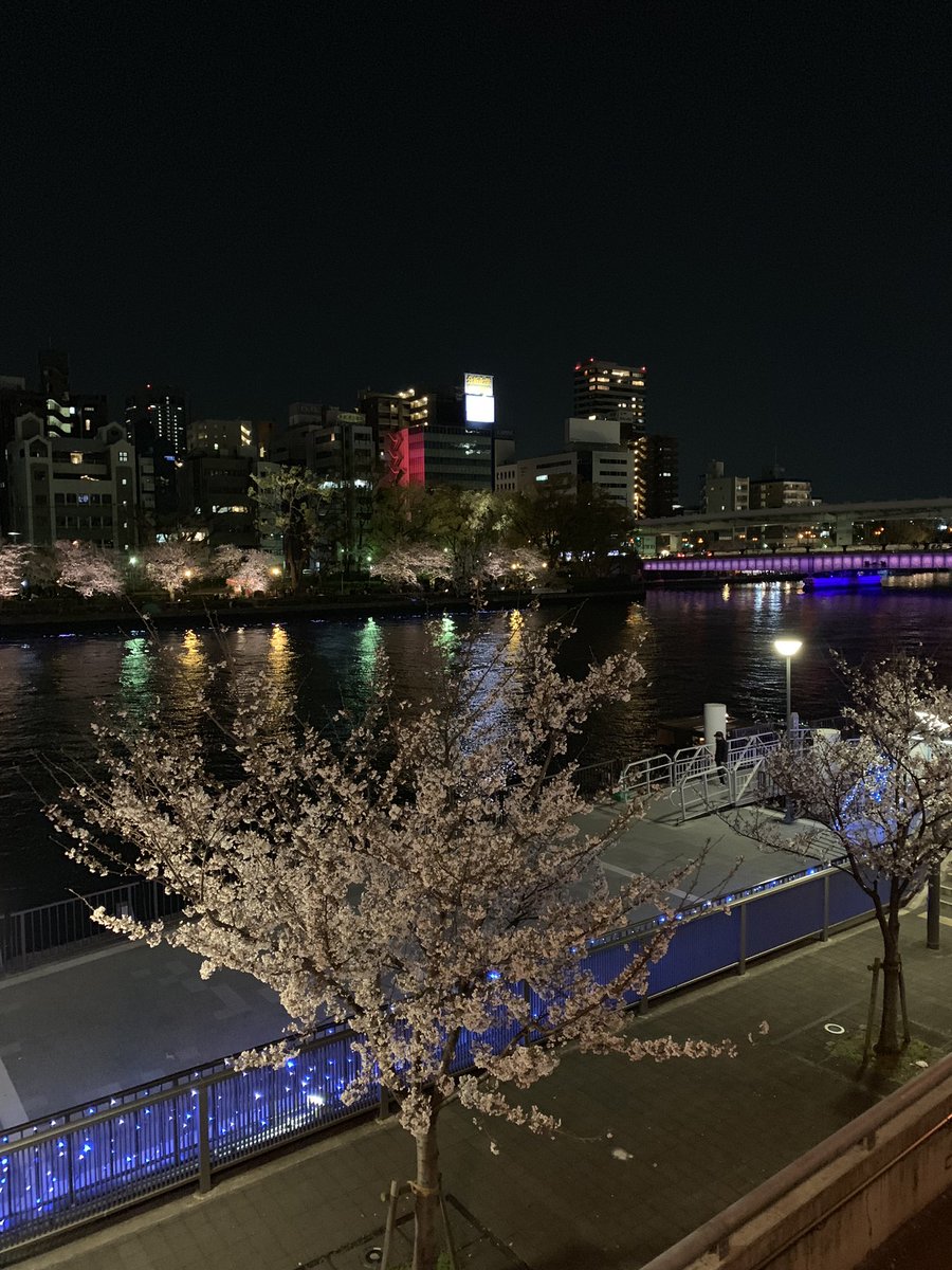 GloryTsubasa's tweet image. 天満橋駅前の桜もお見事な感じですよーーー。お花見がてらギャラリーも寄ってってーー。

ということで、明日も15時〜21時フルでお待ちしてます。

#ポップピープル 
#artlabomm