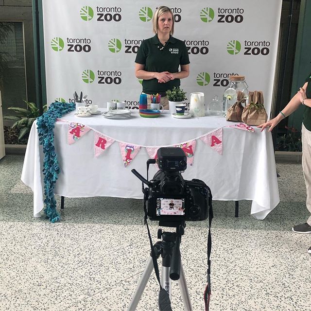 Filming our @thetorontozoo #greenhacks to help you reduce your impact on the natural world!! Looking forward to #launching @art_to_save_the_sea this summer! bit.ly/2UjroOp