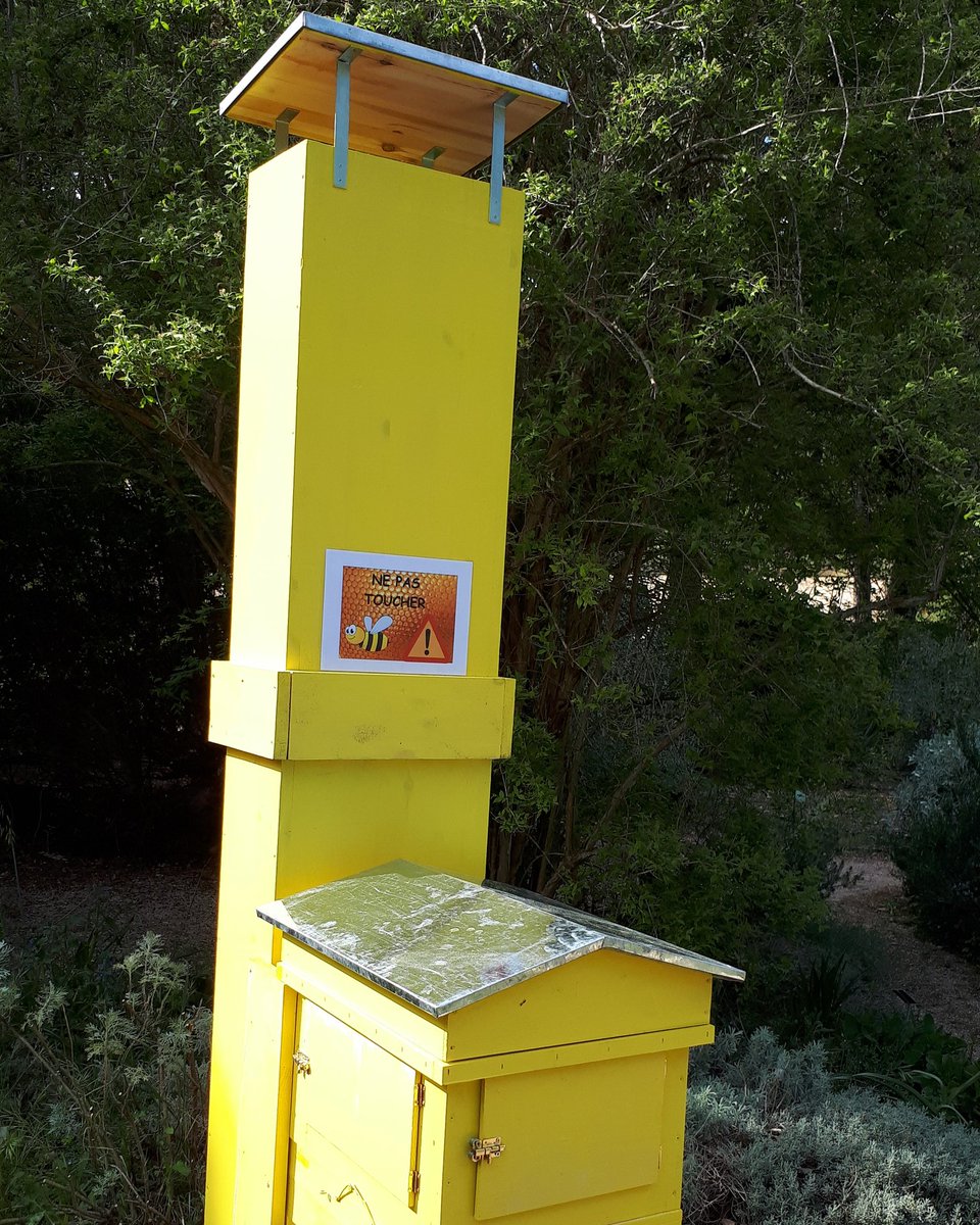 HarmasJHFabre's tweet photo. #harmas nouvelle habitation à l'Harmas de Jean Henri Fabre. Les nouveaux locataires arriveront courant mai #abeilles #biodiversité https://t.co/fvekOtkuS3