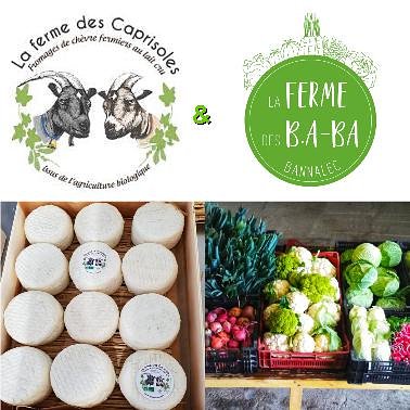 LCaprisoles's tweet photo. Dès Mercredi prochain retrouvez nous à  la ferme des B.A-BA à partir de 16h jusqu'à 19h30!
🧀🐐&amp;🥕🥔🥦
 La Ferme des B.A-BA lieu-dit Castel-Coudiec à  Bannalec.
👨‍🌾👩‍🌾👨‍🌾👩‍🌾
#lafermedesbaba #lafermedescaprisoles #paysansensemble #legumes  #fromagechevre #finistere #bannalec https://t.co/eWY3OiFG9q