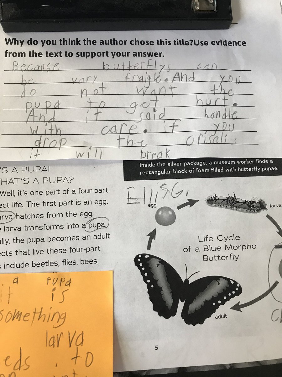 ToshaSwearingen's tweet photo. I love that my schedule allowed me to partner with many teachers this week! I also love when a good close reading lesson comes together! These 2nd Ss were able to answer a DOK 3/4 question and support with text evidence. Win! @MCESMavericks @meg_kuenzli #mcslearn #textdependent https://t.co/k1Qjv9glr3