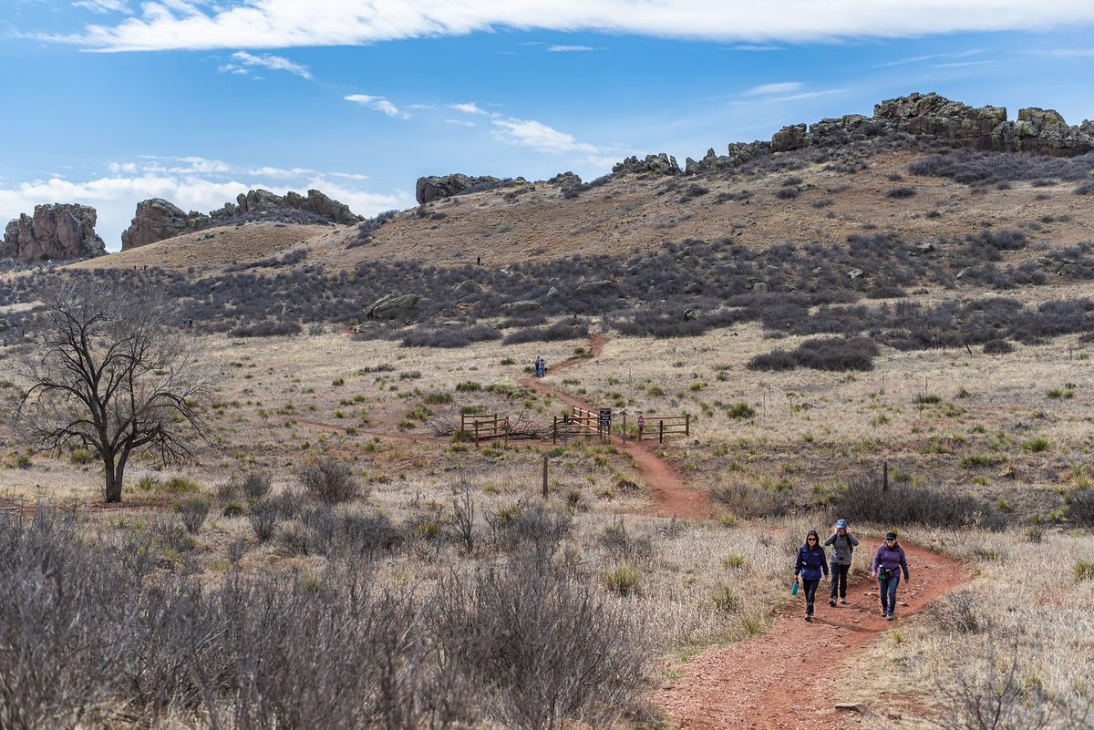 LCDNR's tweet photo. Volunteer photographer Brendan Bombaci got these shots of folks out enjoying Devil's Backbone Open Space on a recent weekend. Expect busy trailheads on nice weekends. Know parking conditions before you go by checking our webcams: https://t.co/NiZaKxP1JW #DBBOS https://t.co/w8kQaGzvnm