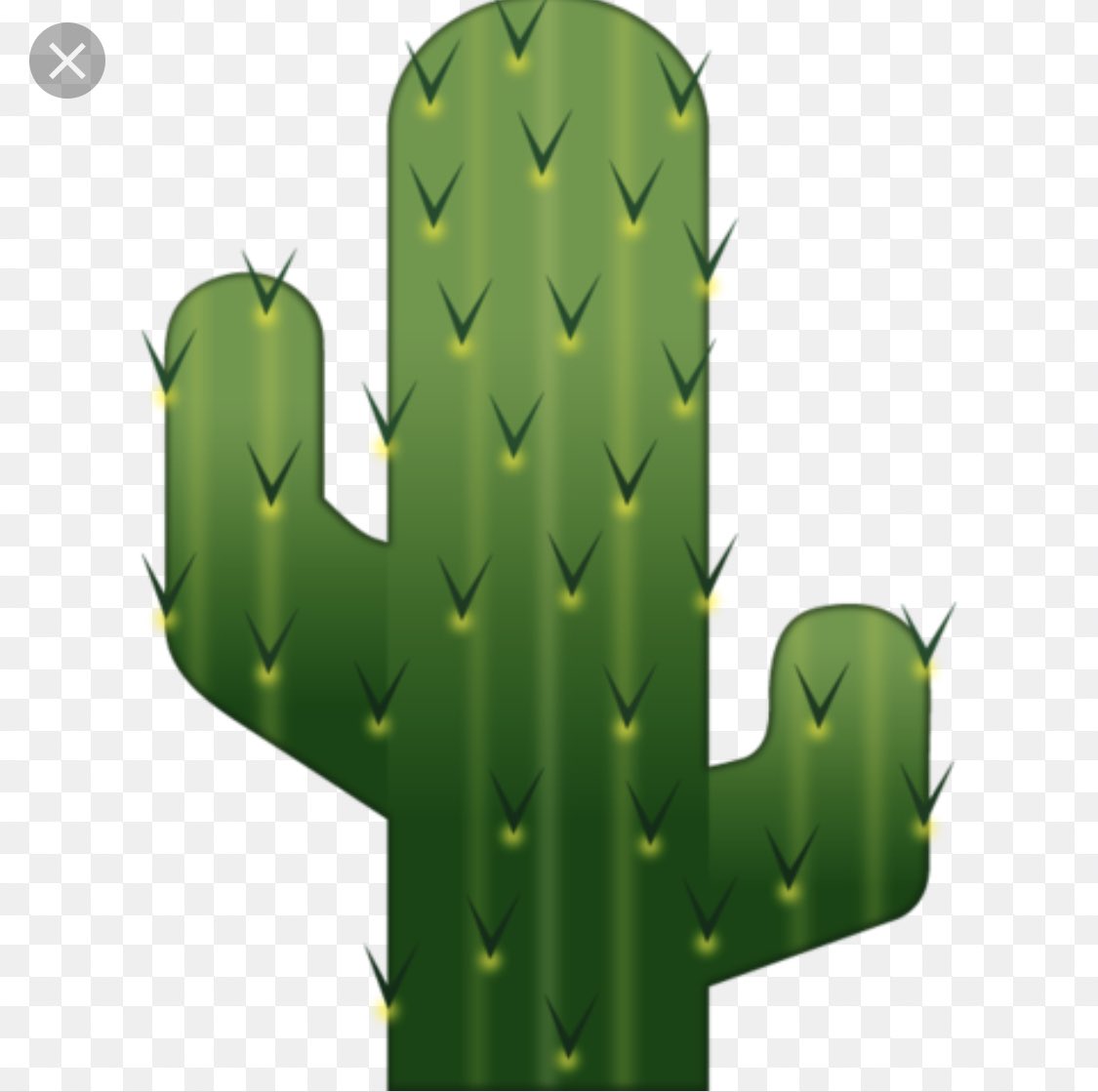 RidpathPrimary1's tweet photo. #CounselorWard #socialfilter #smooththoughts #pricklythoughts. Best part ???? 2ndgrader complimenting the pictures to Counselor Ward😂😂 Great idea! Lol! https://t.co/LQdkEbfi53