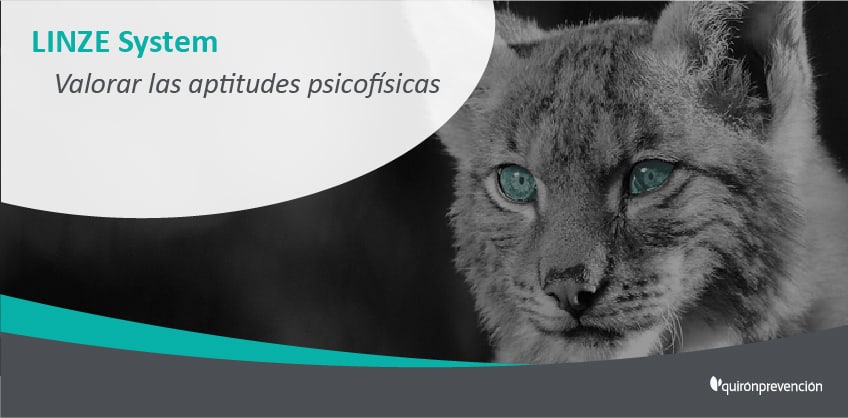 Quirónprevención tweet media