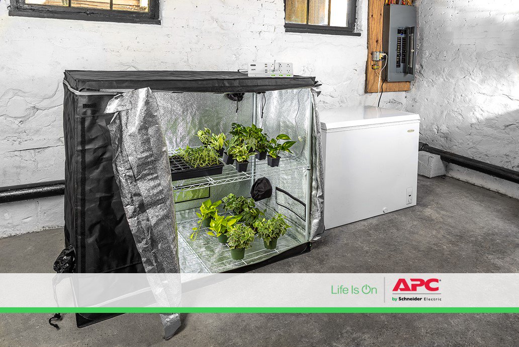 Start smart with your indoor garden by plugging your UV lights into APC Smart Surge. Put your lights on a schedule and turn them on/off remotely, from anywhere! #CertaintyInAConnectedWorld #APC #SmartPlug #SpringTime
