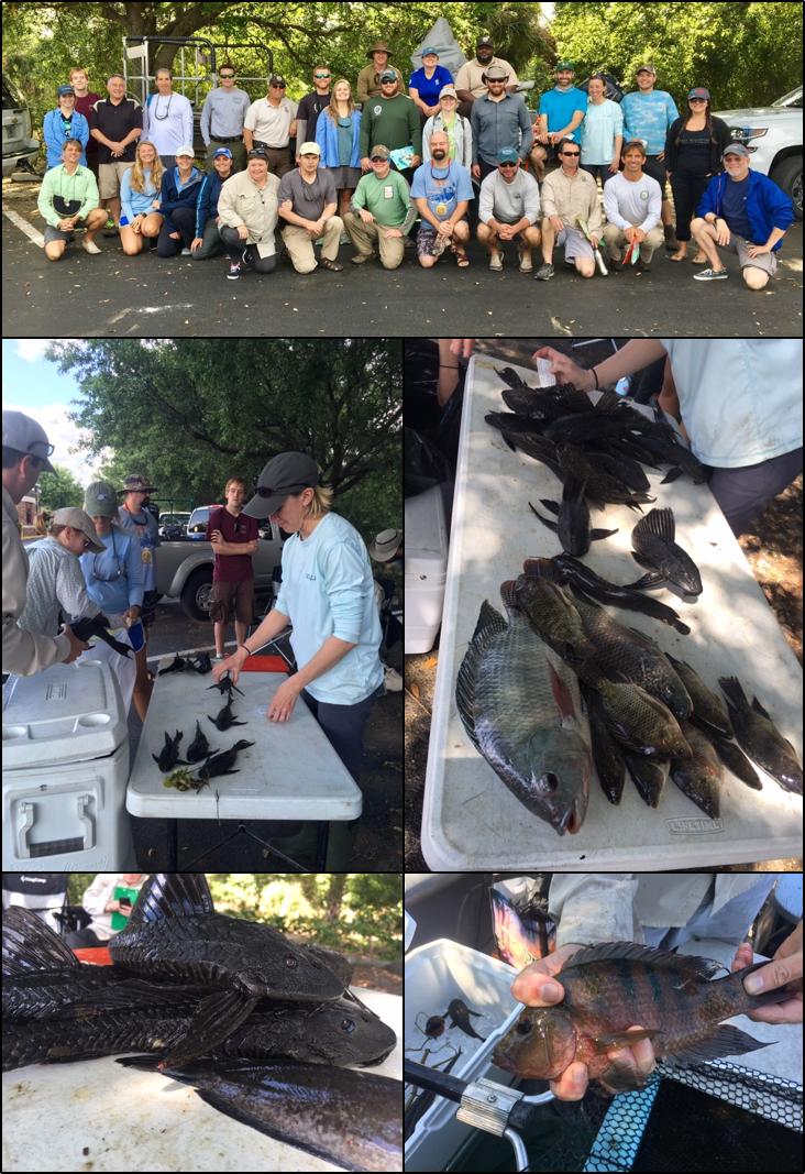 USGSAquaticLife's tweet photo. Last week in Vero Beach, FL, USGS led partners in the bio-blitz-like event known as Fish Slam. The 2-day event aims to find new introduced #fish &amp; document any expansion of existing nonnatives. Learn more about the event: https://t.co/lrhKUrNZ9o @USGS_NAS https://t.co/Q494cvBoXx