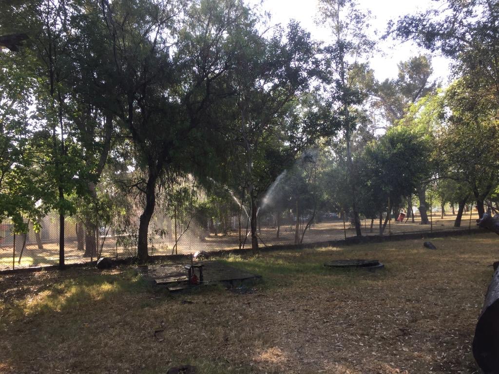 SLPMunicipio's tweet photo. Después de la Feria de las Flores 💐, reiniciamos riego del #ParqueMorales 🌳 🎍🌳 #BuenosDias ☀️
#SanLuisSuenaFuerte #SLP https://t.co/CGBMV2NW4q