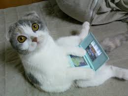 hazteunguau's tweet photo. Y si eres más de mantita y sofá, reta a tu mascota a #NintenderosLabo , y prepararos para vuestra batalla mas épica 🎮. https://t.co/7dwPk2m5rr