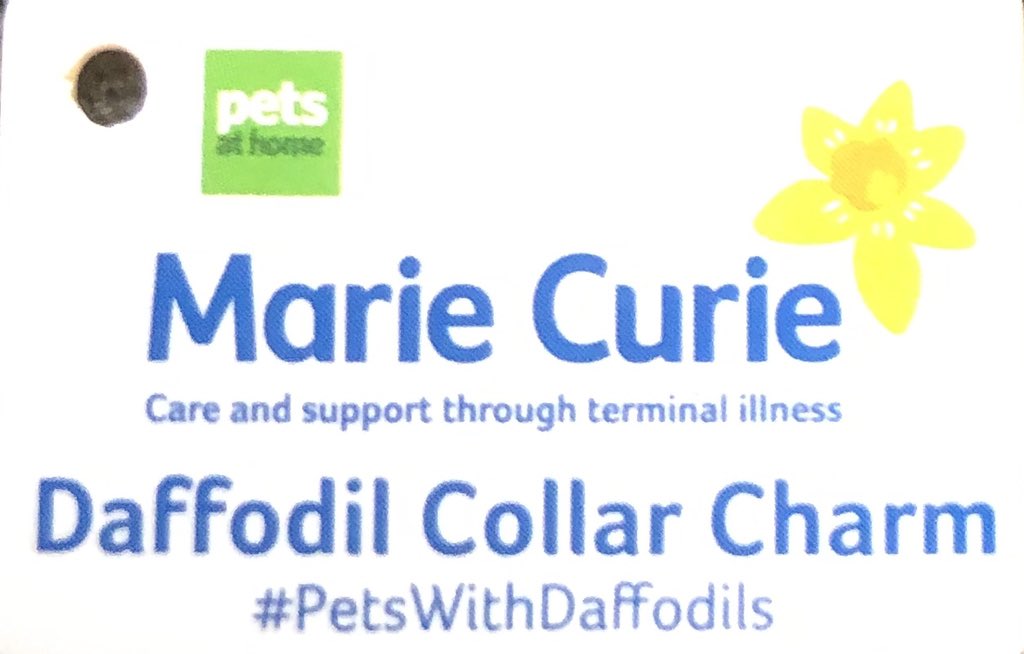 Ted Dale tweet media