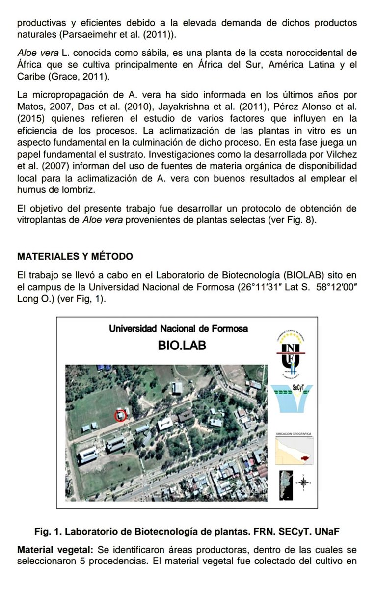 AdolfoBercheni's tweet photo. Resultado de la #cooperación público privada: estudio de #micropropagación de #Aloe Vera para generar una cuenca local de plantas con alto rendimiento en #fitocosmeticos
Coordinadora: Ing. Victoria Vega #UNaF #Formosa #BIOALOE #COSMÉTICA https://t.co/ewwloSsmsB