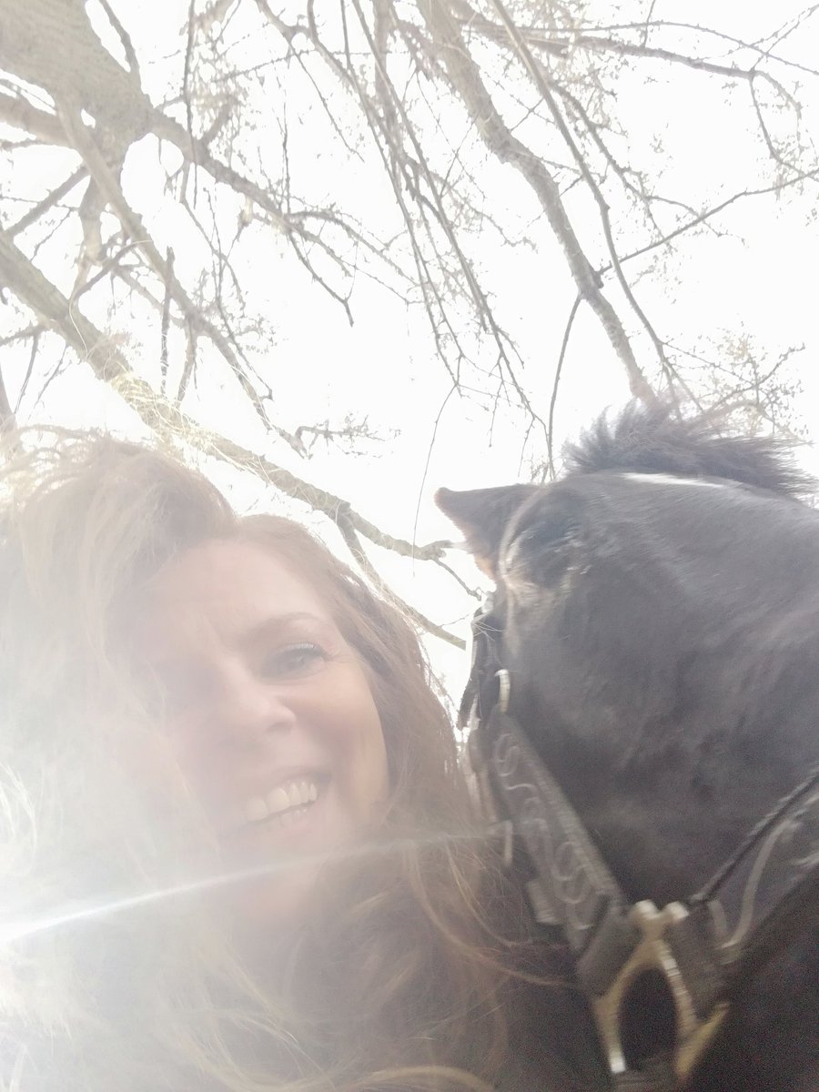 The best part of riding horses is that they put yourself in front of your fear ... And strongly they let you jump beyond it.. every single ride. And if you can deal with over 500 k living being, be sure you can deal with anything. #horses #horselife