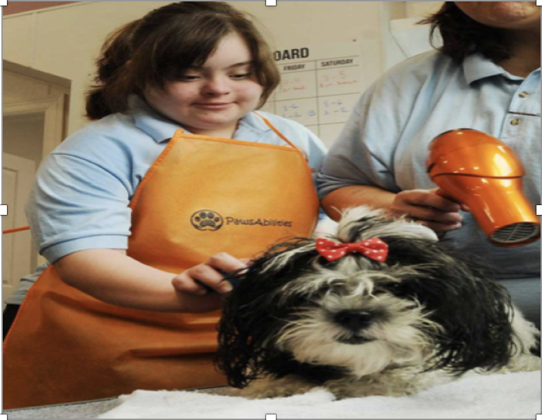 Education_Assoc's tweet photo. Paws-otively Awesome! Check out how PawsAbilities in Houston is supporting fun and fulfilling community engagement for everyone! https://t.co/Cq5zhLcrlF #PawsAbilities #SpecialEducation #Education https://t.co/mE1ebd16pq