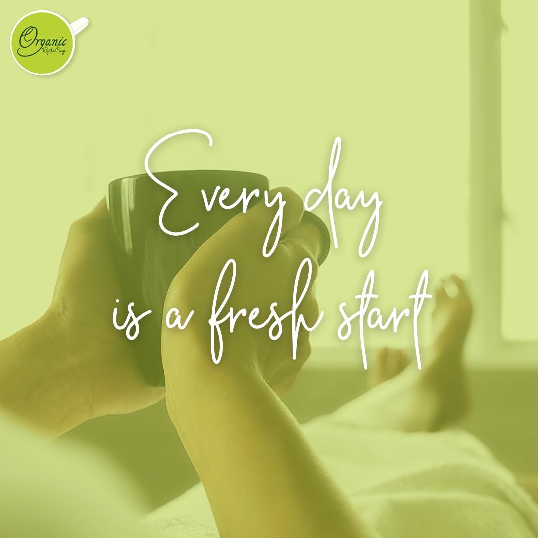 te_matcha's tweet photo. #HappyFriday Si deseas llevar una vida más saludable, puedes iniciar desde hoy haciendo pequeños cambios. ¡No esperes a mañana! 🍵✨
https://t.co/TorREm6kT8
#Beneficios #TeVerdeMatcha #GreenTea #MatchaLovers #MatchaBeneficios #HealthyLife #productosorganicos #productosnaturales https://t.co/3XfCQYsIWI