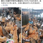 江ノ島の地域猫が連れ去られた 訴える いやそもそも 窃盗 にはならないのでは Togetter 江ノ島の地域猫が連れ去られた 訴える いやそもそも 窃盗 にはならないのでは Togetter