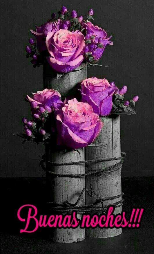 Violeta on Twitter: Violeta on Twitter: